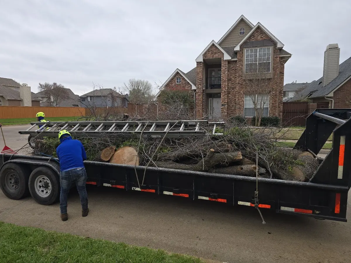 Expert Tree Fertilization with proper safety equipment in Dodge
